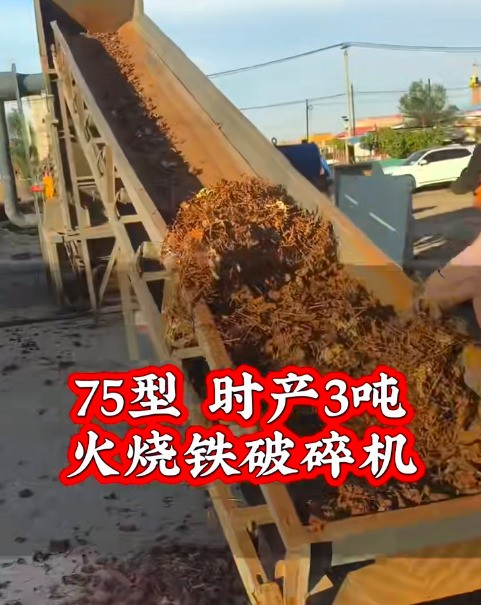 小设备创造可观利润，十几万投入，时产轻松可达3吨。